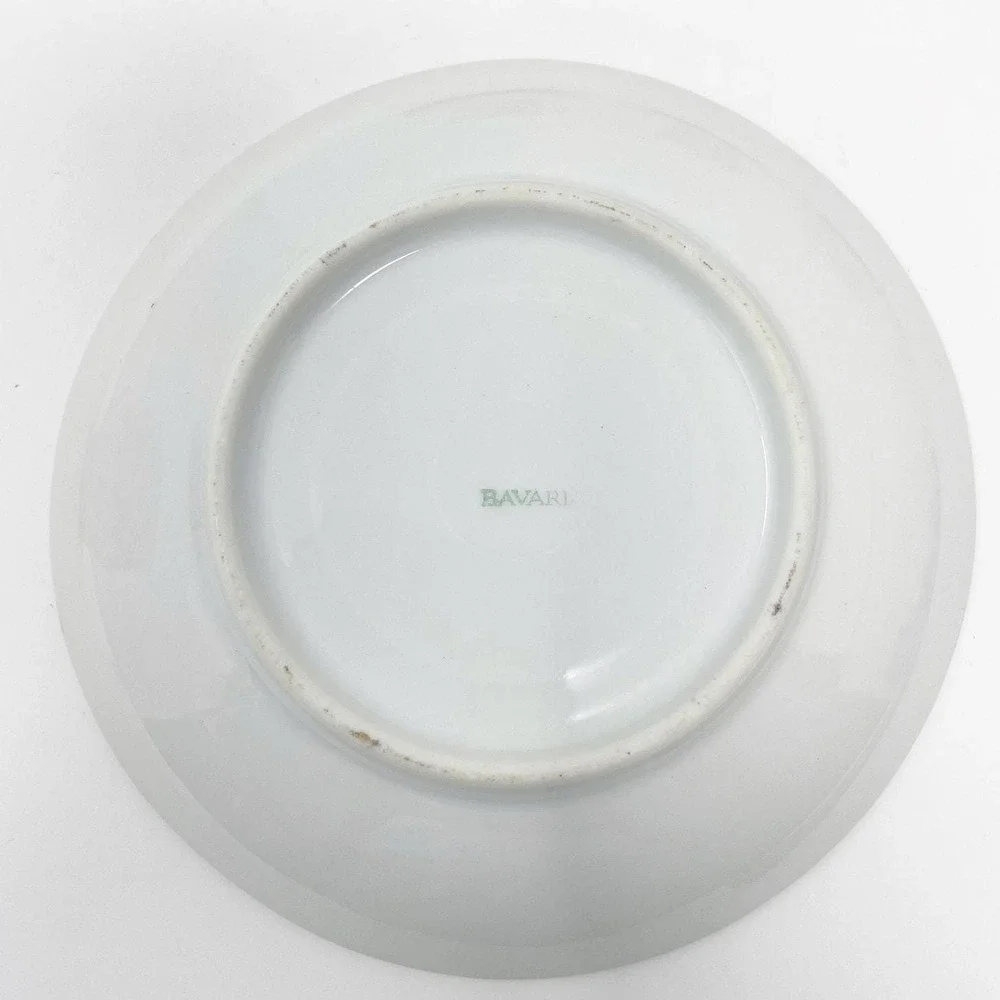 Vintage Bavaria Hand Painted Porcelain Teacup & Saucer Set White Gold Floral